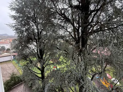 Paesaggio naturale nelle vicinanze dell'affittacamere