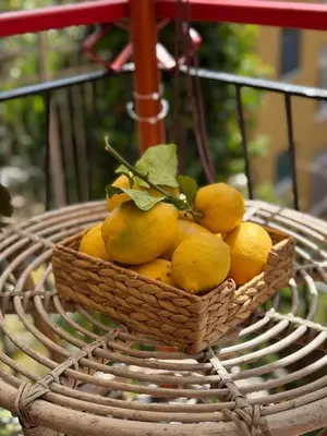 Cibo presso la casa vacanze o nelle vicinanze