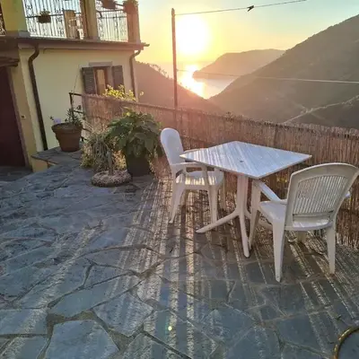 Il vigneto