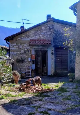 Edificio in cui si trova l'appartamento