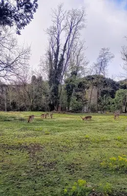 Paesaggio naturale nelle vicinanze dell'appartamento