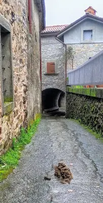 Planimetria di Maurizio nel Borgo Medievale