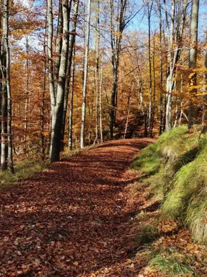 Paesaggio naturale nelle vicinanze della casa vacanze