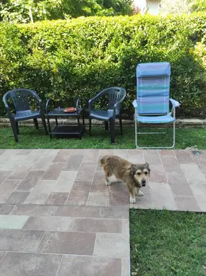 Ospiti di Casa NONNA LINA con animali domestici