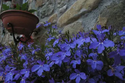 Giardino di Locanda di Campagna