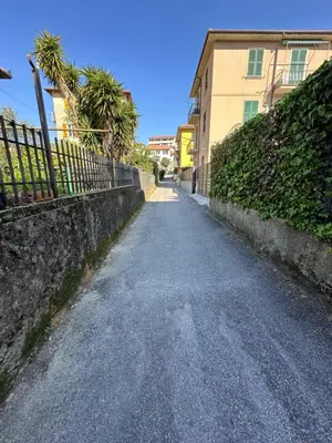Planimetria di L'Albicocco