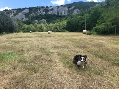 Paesaggio naturale nelle vicinanze della casa vacanze