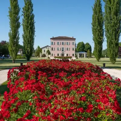 Cattania Suites and Rooms