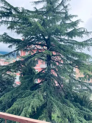Paesaggio naturale nelle vicinanze dell'appartamento