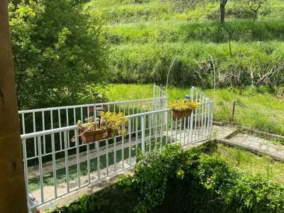 Giardino di Woods House