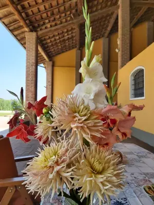 Planimetria di Cascina Olmetto di Sotto