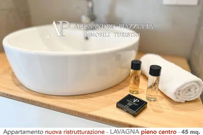 Planimetria di Casa Janson