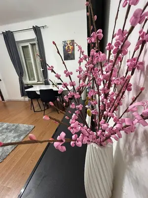 Planimetria di Gloria Appartamento