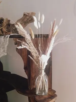 Planimetria di Casa Artigena