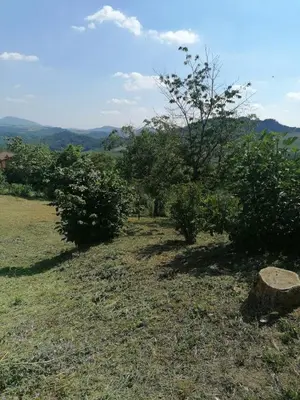 Paesaggio naturale nelle vicinanze della casa vacanze
