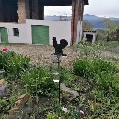 Cottage Belvedere
