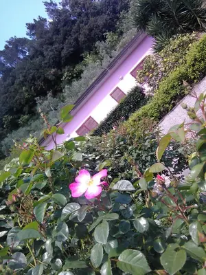 Giardino di Villino Isò
