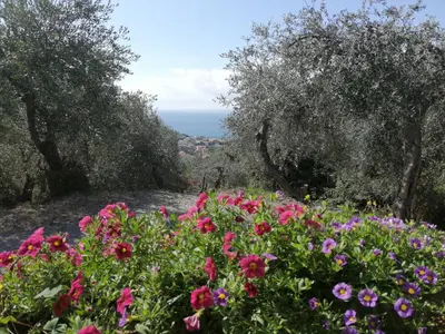 Paesaggio naturale nelle vicinanze dell'appartamento