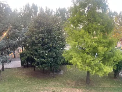 Giardino di MiMo Luxe