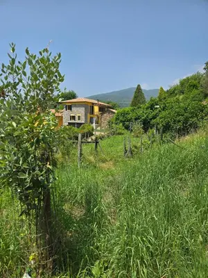 Paesaggio naturale nelle vicinanze della casa vacanze