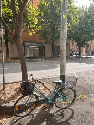 Attività di ciclismo presso l'appartamento o nelle vicinanze