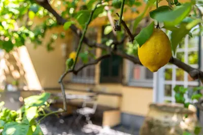 Giardino di Villa Questa - Oasi sommersa nel Verde