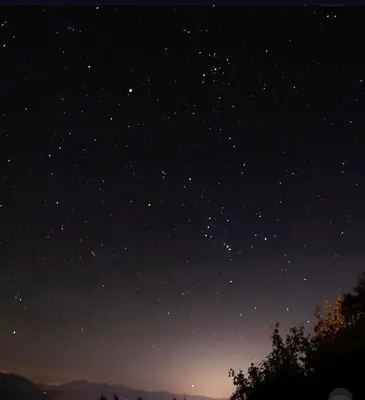 Planimetria di Nido di Luna