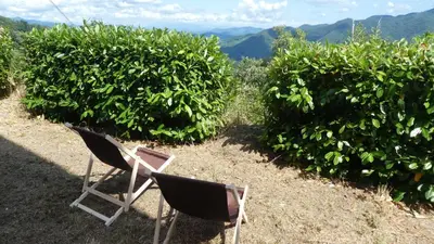Paesaggio naturale nelle vicinanze dell'appartamento