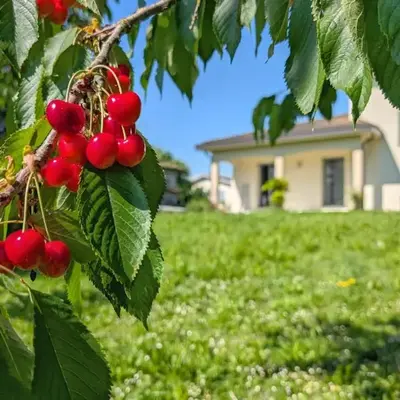 Sakura Villa - Luxury and comfort near Crema