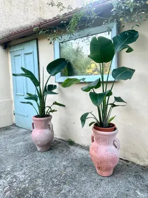 Giardino di La Villa delle Rose