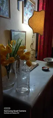 Planimetria di Nonna Emma
