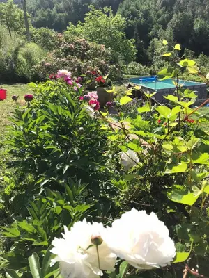 Giardino di B&b Il Tulipano
