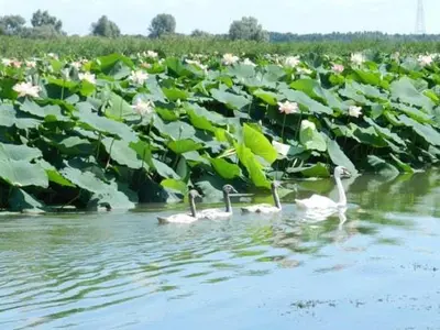 Paesaggio naturale nelle vicinanze dell'appartamento