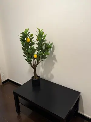 Planimetria di Sc Residence Parma
