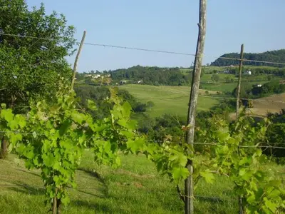 Paesaggio naturale nelle vicinanze dell'appartamento