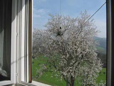 Paesaggio naturale nelle vicinanze dell'appartamento