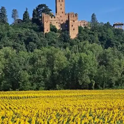 Residenza Il Castello Quattro