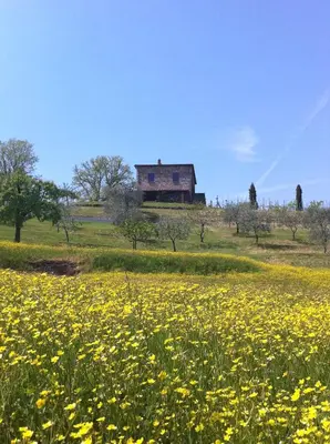 Giardino di Cà del vento