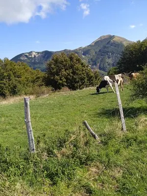 Paesaggio naturale nelle vicinanze del bed & breakfast