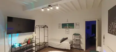 TV o dispositivi per l'intrattenimento presso Il sogno di Elisa -romantico B&B nel centro di Parma