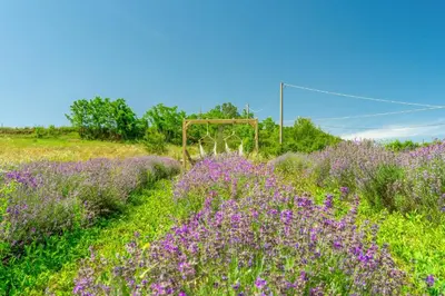 Giardino di La Locanda Del Molino