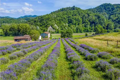 Paesaggio naturale nelle vicinanze del bed & breakfast