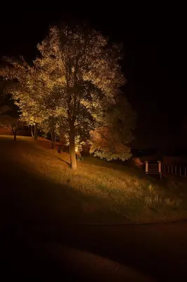 Planimetria di Tenuta Monte Bago