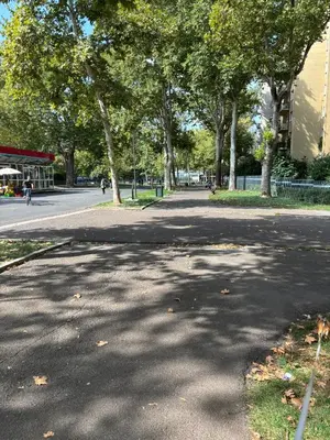Il quartiere o una zona nella vicinanze dell'affittacamere