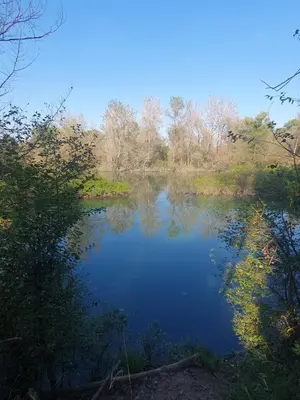 Paesaggio naturale nelle vicinanze dell'appartamento