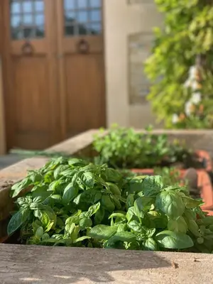 Giardino di Il Gregge