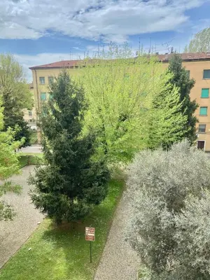 Planimetria di Green House - Manerbio
