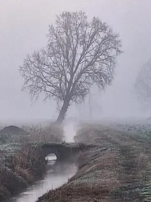 Paesaggio naturale nelle vicinanze della casa vacanze