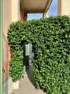 Planimetria di Cuore della Città- Manerbio