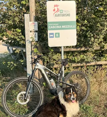Attività di ciclismo presso l'appartamento o nelle vicinanze